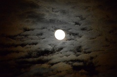 fullmoon 014